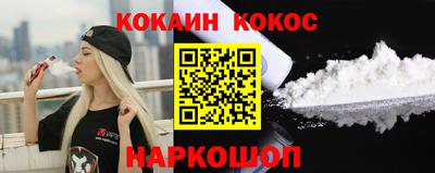 стаф Гатчина