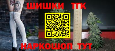 стаф Гатчина