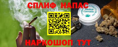 стаф Гатчина