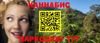 стаф Гатчина