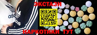 стаф Гатчина