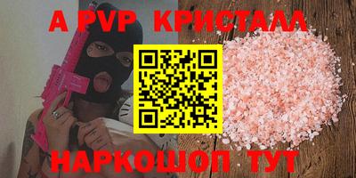 стаф Гатчина
